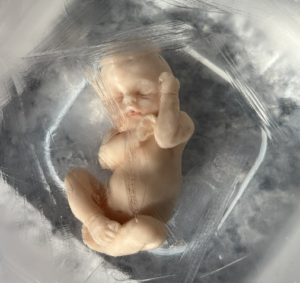 Foto de Maria J Hernandez Cabrera